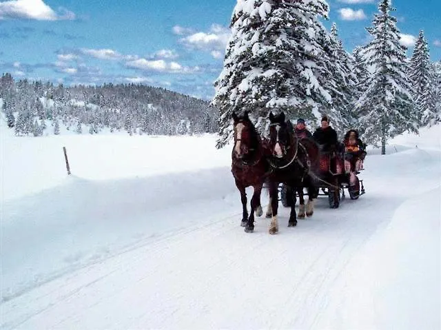 Hotel Alpenrose Mittenwald 3*,  Deutschland